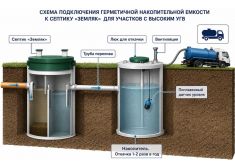Барс Био 10